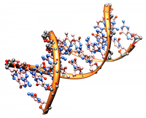 Molecular-1